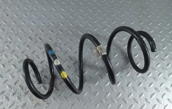 Front coil spring