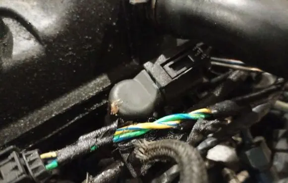 Ford Galaxy Fuel injector
