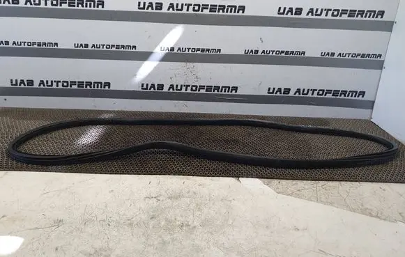 Citroen C4 II Picasso Rear door rubber seal (on body) 