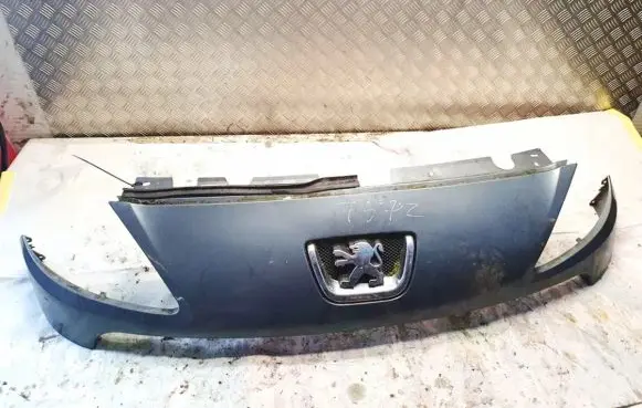 Peugeot 1007 Front grill