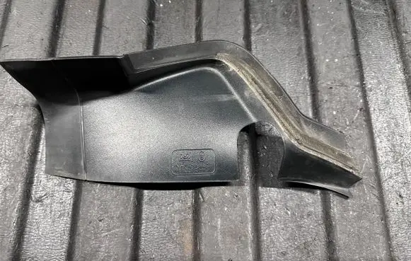 Rear/tail light trim molding