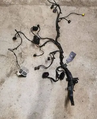 Other wiring loom
