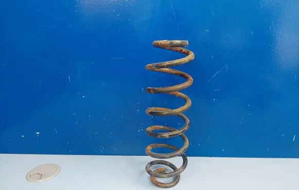Skoda Roomster (5J) Rear coil spring 1J0511115H 65021