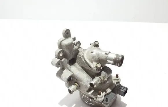 Dacia Jogger Water pump 210104BC0A