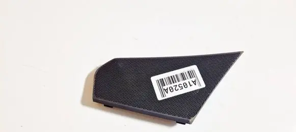 Side speaker trim/cover