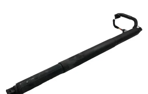Tailgate strut