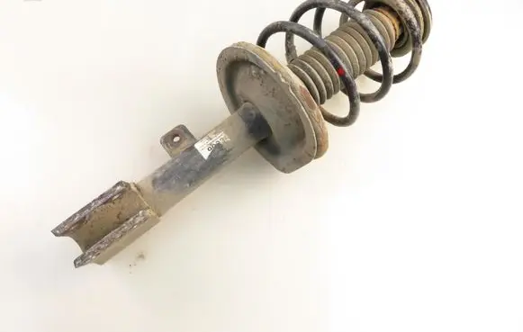 Peugeot 307 Front shock absorber with coil spring