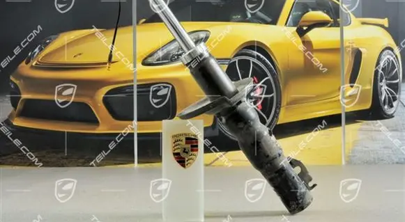 Porsche Cayman 987 Rear shock absorber/damper 98733305319