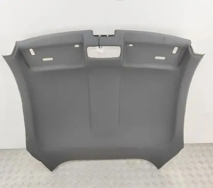 Audi TT TTS RS Mk3 8S Headlining 8S8867505J