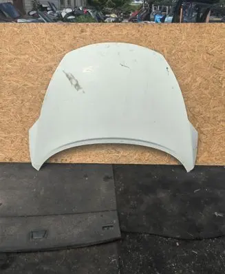 Nissan Juke I F15 Engine bonnet/hood