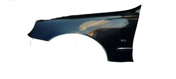 Mercedes-Benz S W220 Fender