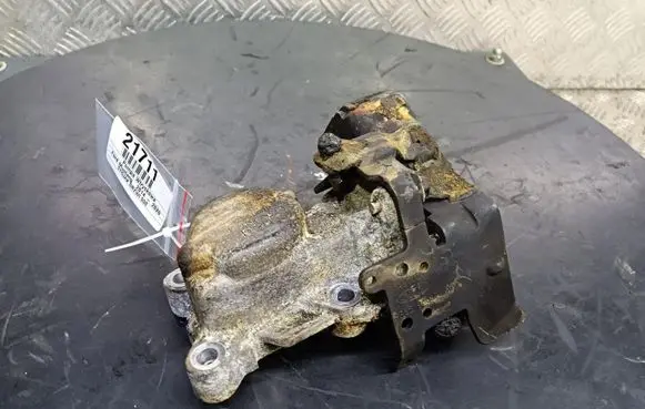 Ford Mustang I Fuel injection high pressure pump