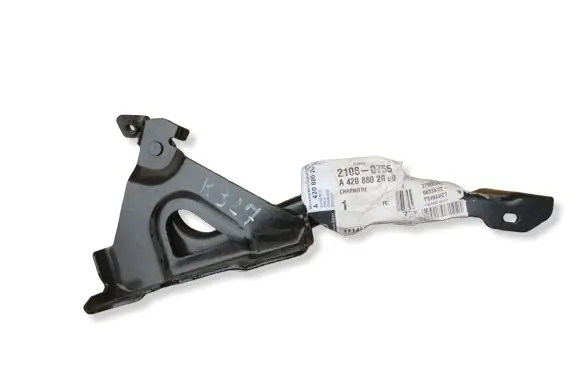 Mercedes-Benz Citan II W420 Engine bonnet/hood hinges A4208802000