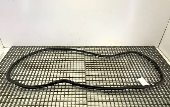 Volkswagen Tiguan Allspace Rubber seal front door (on door) 