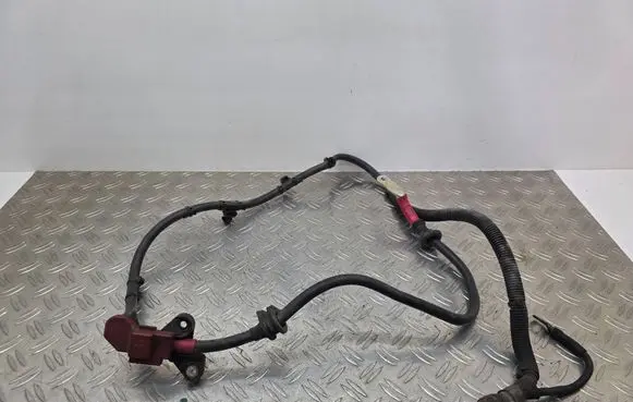 Audi A6 S6 C6 4F Wires (generator/alternator) 