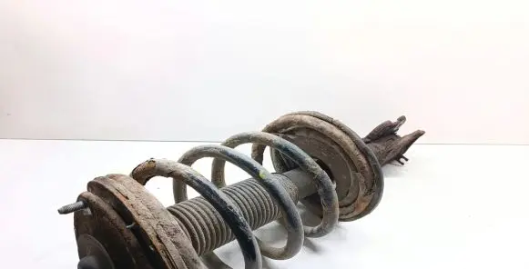 Hyundai Santa Fe Front shock absorber with coil spring