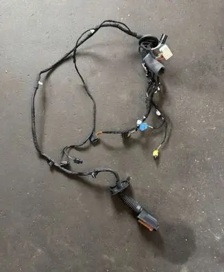 Front door wiring loom