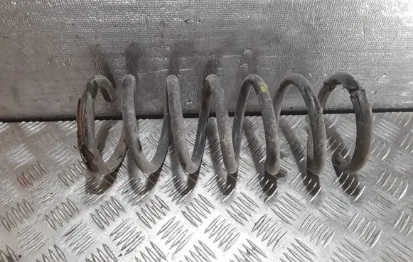 Ford S-MAX Rear coil spring