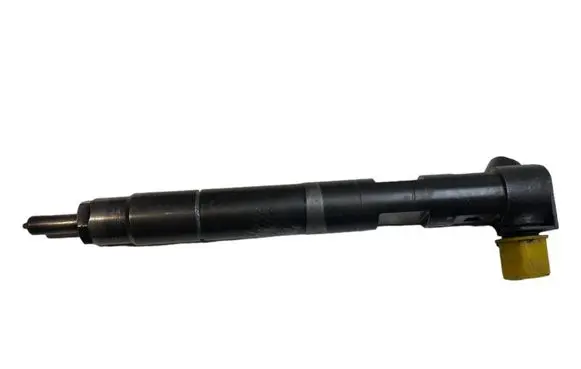 Mercedes-Benz Sprinter W906 Fuel injector 28342997 A6510704987