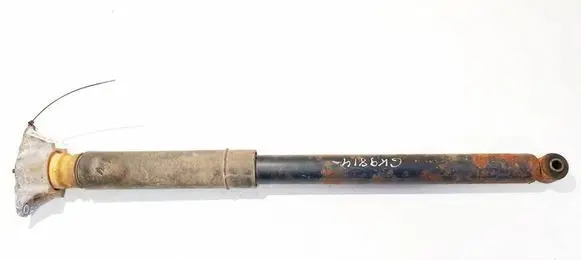 Ford Focus C-MAX Rear shock absorber/damper