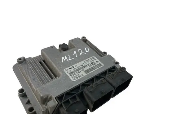 Citroen C4 I Picasso Engine control unit/module 9666319180 9675495080