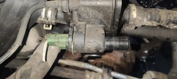 Peugeot 206 Engine coolant pipe/hose