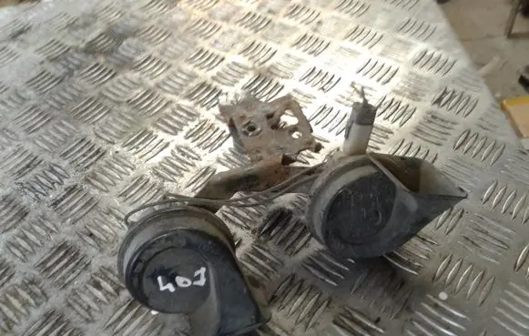 Peugeot 407 Horn signal