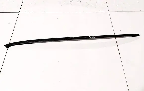 Volkswagen PASSAT B6 Windshield trim 