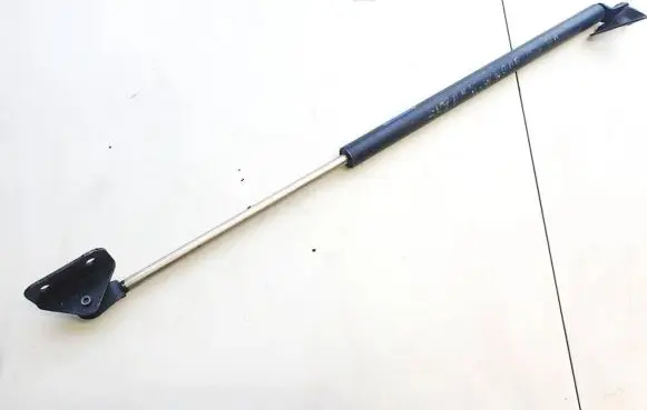 Tailgate/trunk strut/damper