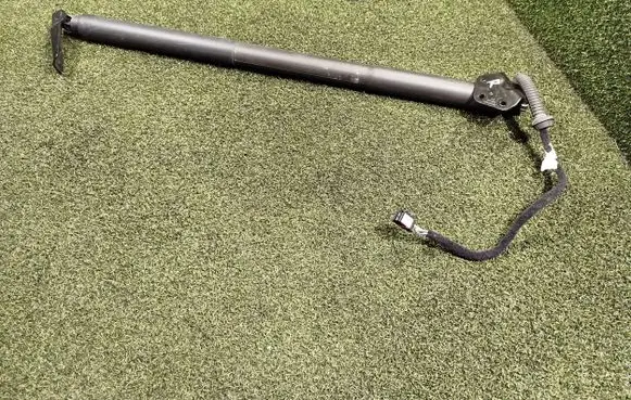 Tailgate strut