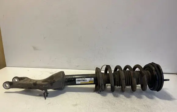 Tesla Model S Front shock absorber with coil spring 103060701C