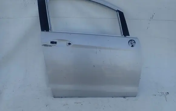 Ford B-MAX Front door