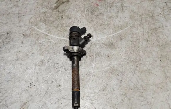 Ford Focus Fuel injector 0445110259