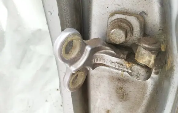 Rear door lower hinge