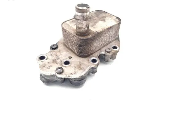 Opel Insignia A Engine oil radiator 55490811 162750809
