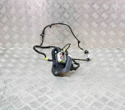 Rear door wiring loom