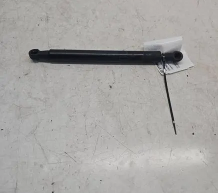 Tailgate/trunk strut/damper