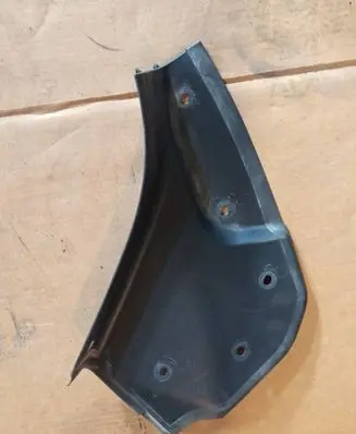Rear/tail light trim molding