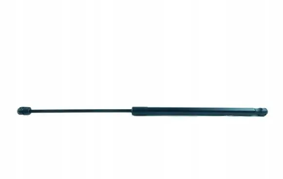 Ford Focus C-MAX Tailgate strut 1683725