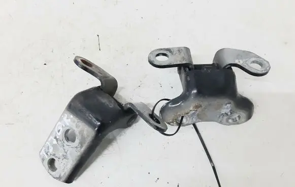 Toyota Corolla Verso AR10 Rear door hinge set 