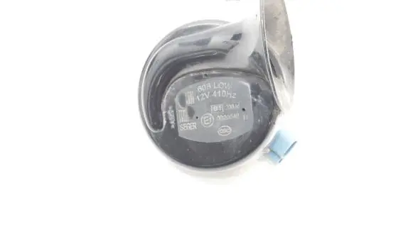 Tesla Model Y Horn signal