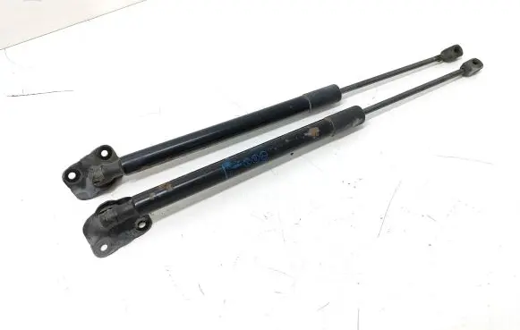 Opel Zafira C Tailgate/trunk strut/damper 13387067 315005777