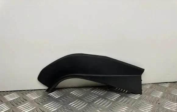 Rear/tail light trim molding