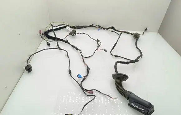 BMW 5 G30 G31 Front door wiring loom CP48325 1806939 11107810