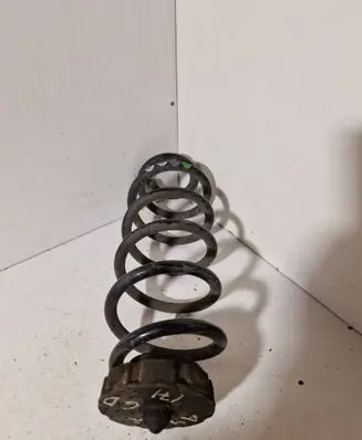 Rear coil spring
