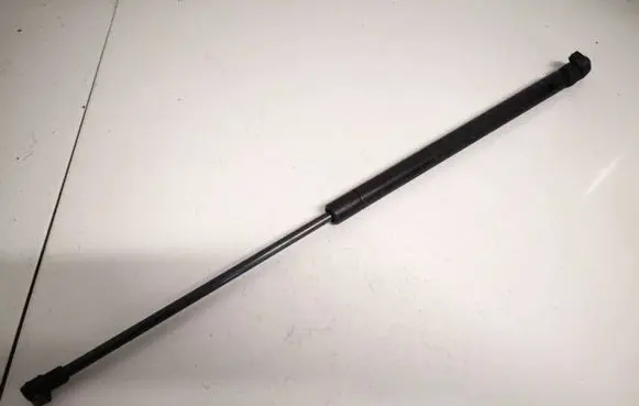 Tailgate/trunk strut/damper