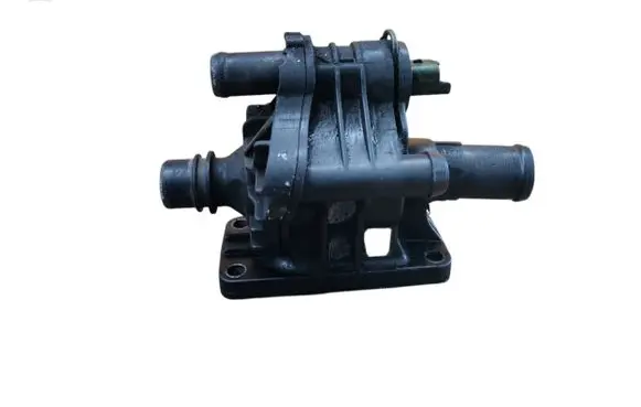 Thermostat/thermostat housing