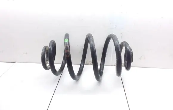 Volkswagen PASSAT B5.5 Rear coil spring