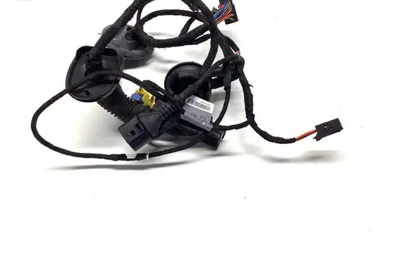 Front door wiring loom