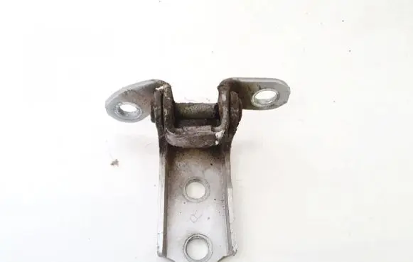 Rear door lower hinge
